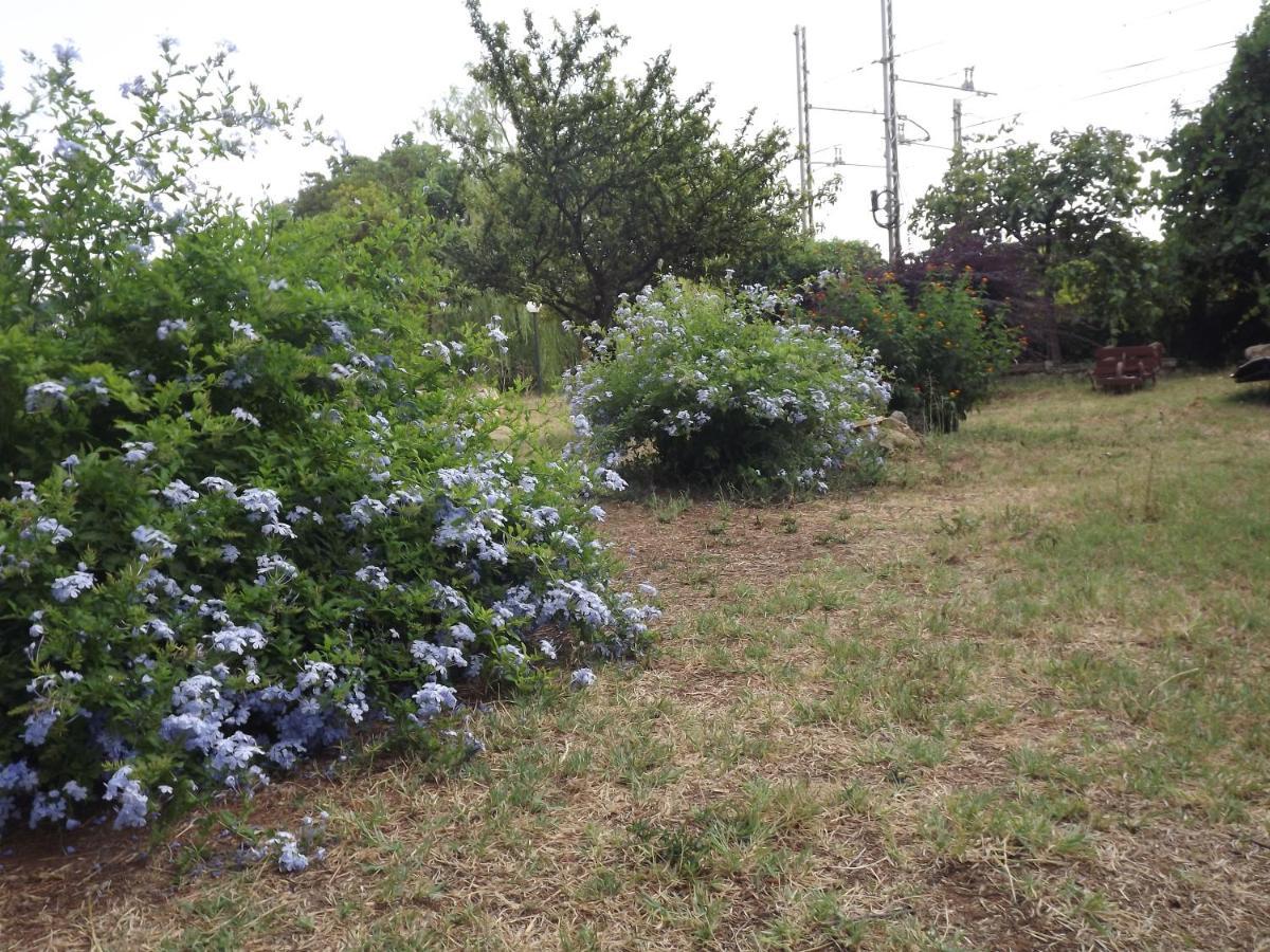 奥尔贝泰洛Capolinea Al Mare住宿加早餐旅馆 外观 照片