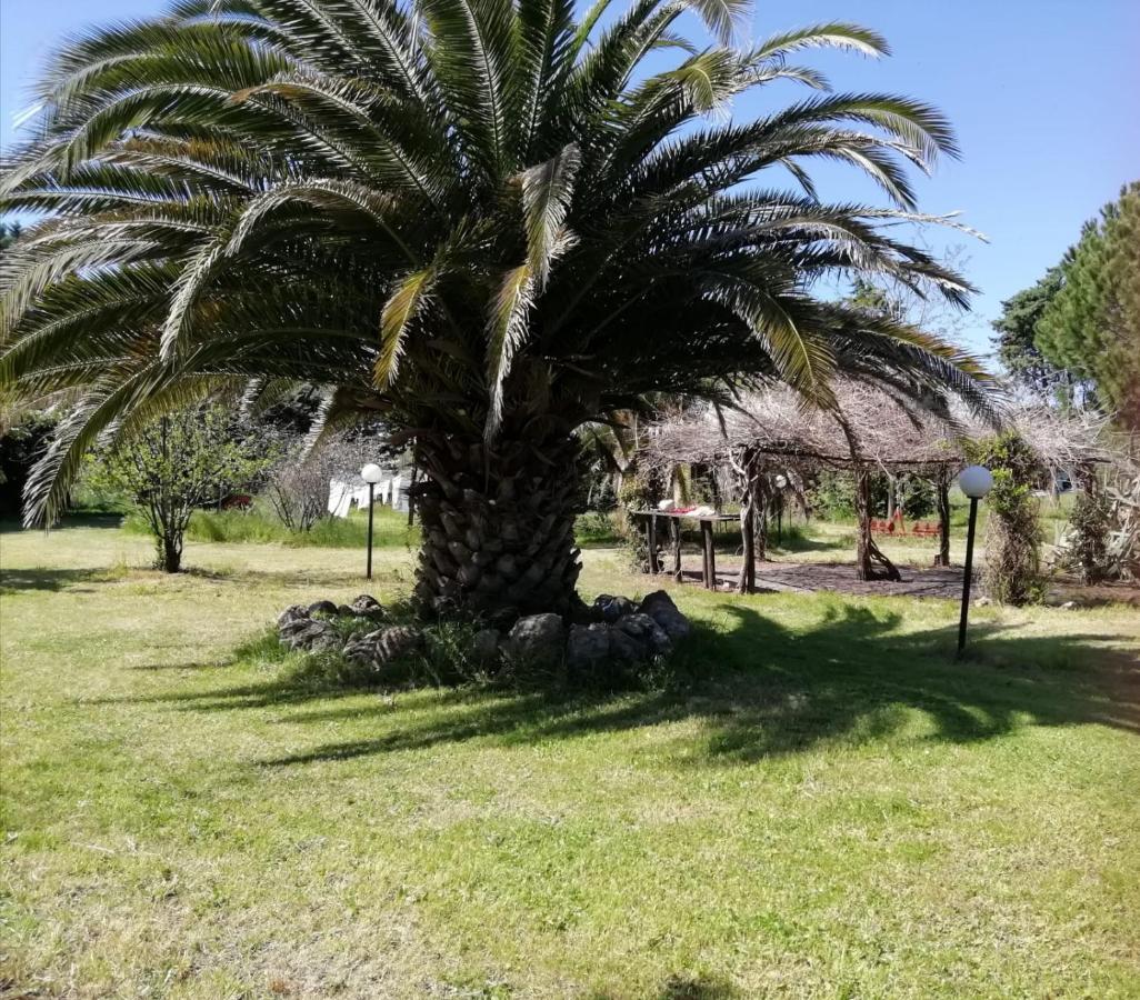 奥尔贝泰洛Capolinea Al Mare住宿加早餐旅馆 外观 照片